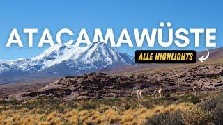 TROCKENSTE Wüste der Erde! | Atacama  | Alle Highlights