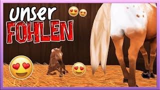 unser FOHLEN wird GEBOREN ️ Horse Riding Tales