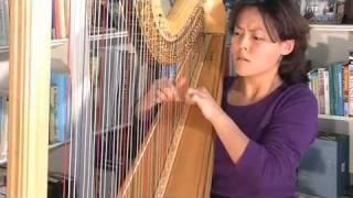 29709 Lavinia Meijer - Harp plays Mosquito Massacre