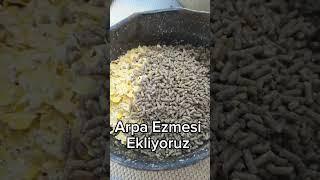 Pancar Küspesi İle Yumurta Çoğaltan Tarif  #chicken #tavuk #yem #fypシ゚viral #funny