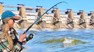 We Found TONS of CATFISH and the BIGGEST of the YEAR! (Spillway Giant!)