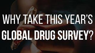 Why Take This Year's Global Drug Survey?