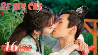 [Be My Cat] Essence  Version EP16 | Fantasy Romance | Kevin Xiao,Tian Xi Wei | KUKAN Drama