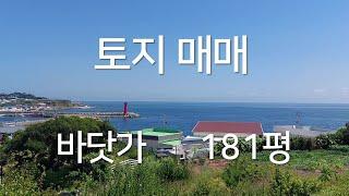 201 바닷가 토지 1억5천만원 매매 181평 2차선 도로변