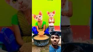 Chand Wala Mukhda leke  #funny #cute #catlover #song #animals #shorts #trending