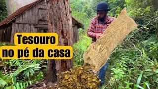 casa velha esconde grandes guardados secreto