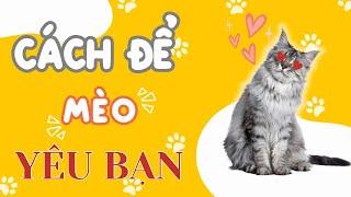 Cách để mèo YÊU bạn  #Meow