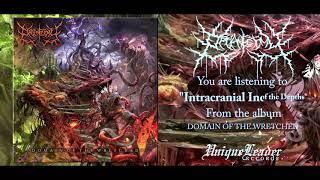 Organectomy - Domain of the Wretched (FULL ALBUM HD AUDIO)