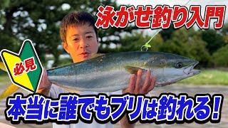 【泳がせ釣り入門】初心者でもブリや座布団ヒラメが釣れる夢の釣法“ぶっ込み泳がせ釣り”を徹底解説