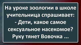 Вовочка и Самое С@ксуальное Насекомое! Сборник Анекдотов Синего Предела №193