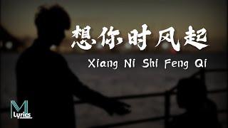 Dan Yi Chun (单依纯) - Xiang Ni Shi Feng Qi (想你时风起) Lyrics 歌词 Pinyin/English Translation (動態歌詞)