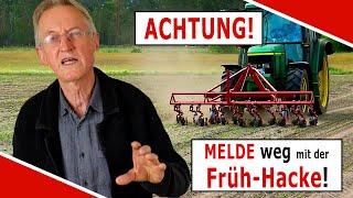 Bekämpfung von Melde und weißem Gänsefuß mit der Früh Hacke!