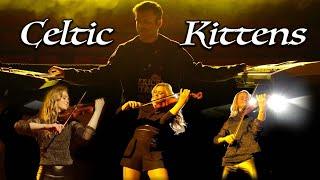 Celtic Kittens - Joslin - (Ronan Hardiman Cover, Celtic Tiger)