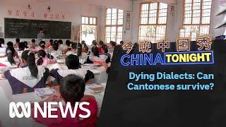 Can the Chinese dialect of Cantonese survive the promotion of Mandarin? | China Tonight | ABC News