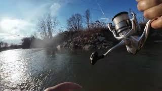 Lake Erie Tributary Ohio Winter Steelhead Fishing!!