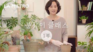 Repotting Class-How to Repotting for beginners, All know-hows are disclosed