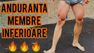 1.9 CIRCUIT - Legs | Membre inferioare | Anduranta | Body weight