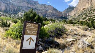 Hiking Upper Layout Creek at Bighorn Canyon, Montana