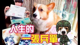 柯基犬肥油 X 人生的一張兵單