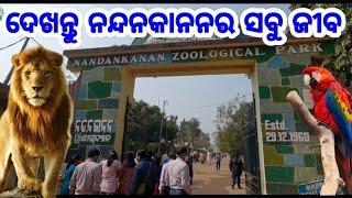 Nandankanan Zoo Odisha Bhubaneswar, All animals, birds, reptiles mammals full Video 2021 first Vlog