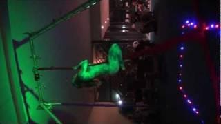 Aerial Silks Lisa Blair Sails the World Fundraising Dinner