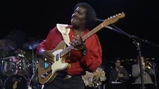 Albert Collins - "Iceman" [Live from Austin, TX]