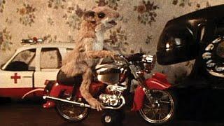 Beverly Cleary "Mouse and the Motorcycle" 1986 TV special