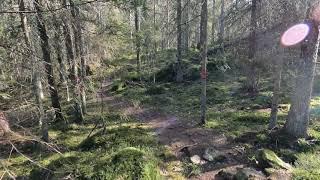 Episode #6   Trail running in the Swedish forest a sunny spring day