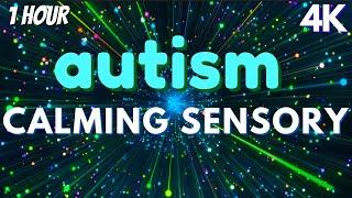 Autism Calming Sensory Meltdown Remedy Soothing Visuals