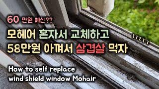 샷시 모헤어 셀프 교체하고 50만원치 삼겹살 먹자 / DIY / How to self Replace wind shield window Mohair