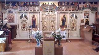 Divine Liturgy - Venerable Isaac of Dalmatus 5/30/2020