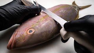 How to Fillet a Small Fish