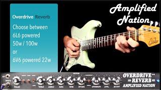 Amplified Nation Overdrive Reverb