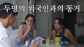 두명의 외국인과 동거하게 되었습니다.