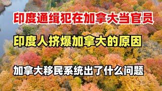 印度通缉犯居然移民到加拿大成为边境管理局的官员，印度人挤爆加拿大的原因，加拿大移民系统出了什么问题？