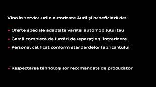 Segmentele 2 și 3 - Audi