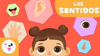 Los cinco sentidos para niños - Educación infantil