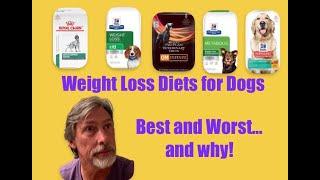 Weight Loss Diets for Dogs! the Best and Worst...and why!