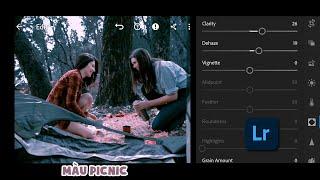 Hướng dẫn chỉnh màu Picnic Mobile Lightroom Preset Tutorial, DNG Preset Free #95