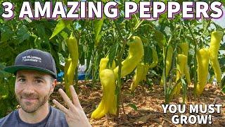 Why I'm OBSESSED With These 3 Special Pepper Plants!