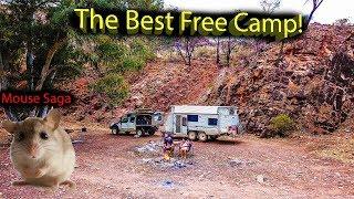 This is FREE? Flinders Ranges. Ep.46 - Free Camping Roadtrip Australia