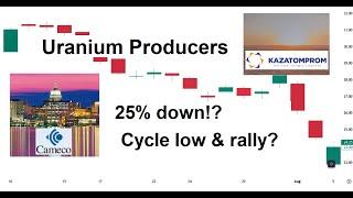 Uranium Outlook, KazAtomProm, Cameco | 6 Aug 2024