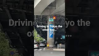 Driving in Japan, Do you go or do you stop???