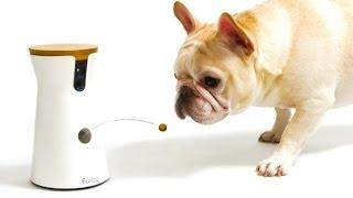 5 Amazing Pet Gadgets You MUST HAVE! ▶3