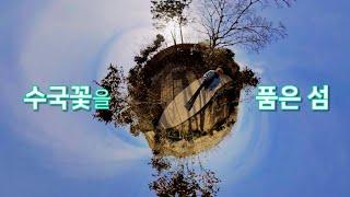 수국꽃을 품은 섬 [도초도]