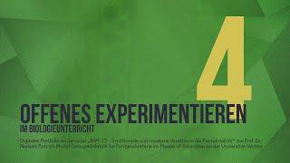 4. Offenes Experimentieren