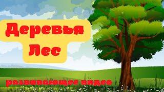 ДЕРЕВЬЯ. ЛЕС. Изучаем лиственные и хвойные деревья. Развивающее видео. Листья деревьев.