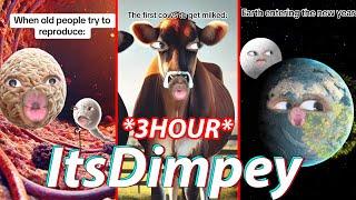 **3 HOUR** Funny ImDimpey TikToks 2024 | Best Its Dimpey6 TikTok Shorts   @Imdimpey  Tiktok Video