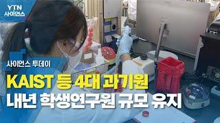 KAIST 등 4대 과기원 내년 학생연구원 규모 유지 / YTN 사이언스