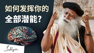 如何发挥你的全部潜能 ？| Sadhguru 萨古鲁